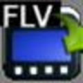 4Easysoft FLV to Video Converter(视频转换软件)