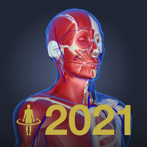 3D人体解剖学teamLabBody2021