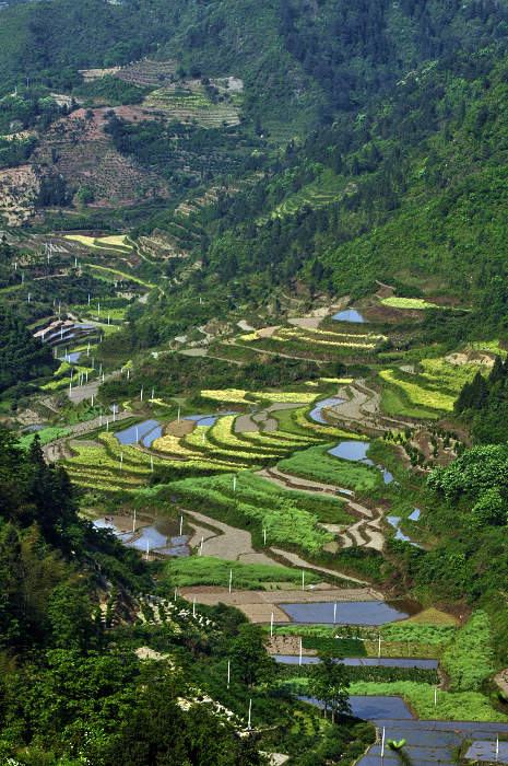 鄉村田園