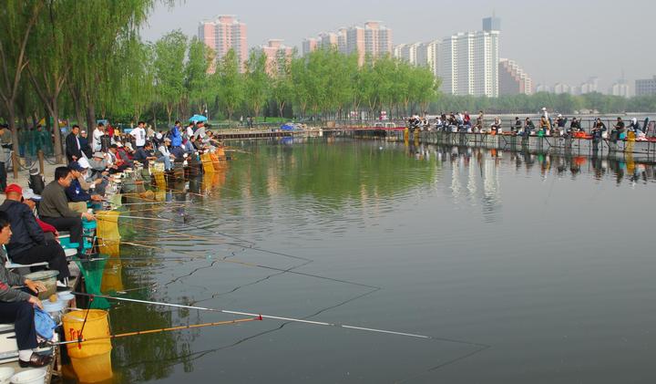 北京钓鱼好去处图片