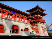 粉雪樱花青龙寺