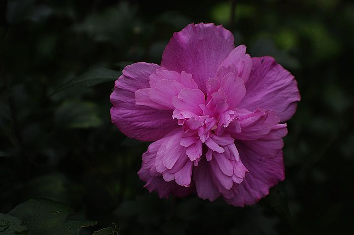 18-55+ǾĽ뼰
