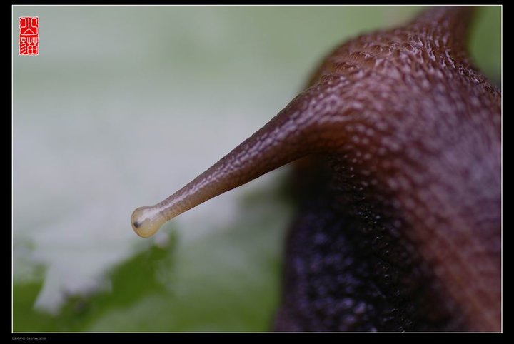 ΁ţ