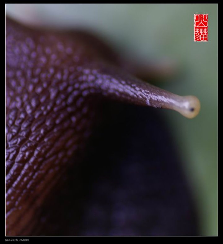 ΁ţ