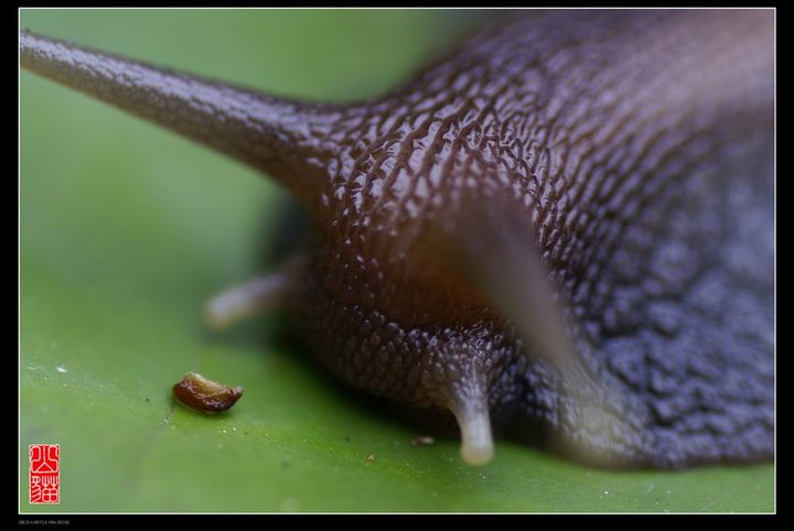 ΁ţ
