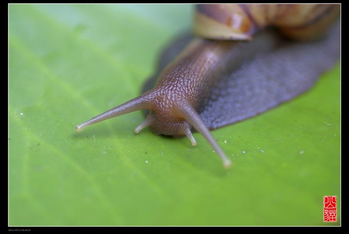 ΁ţ