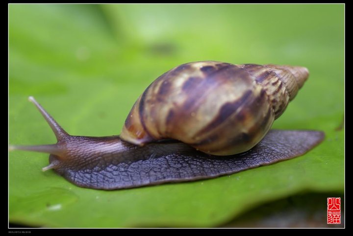 ΁ţ