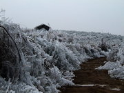 南方的雪