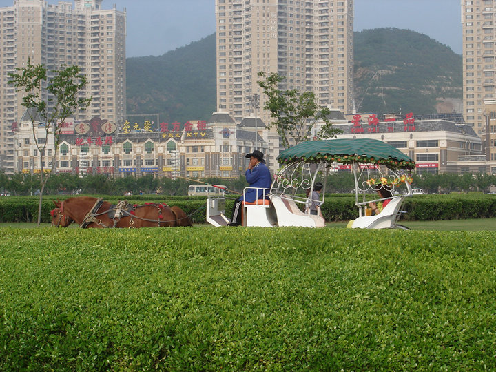 【大连风景(一)摄影图片】大连生活摄影_太平洋电脑网摄影部落