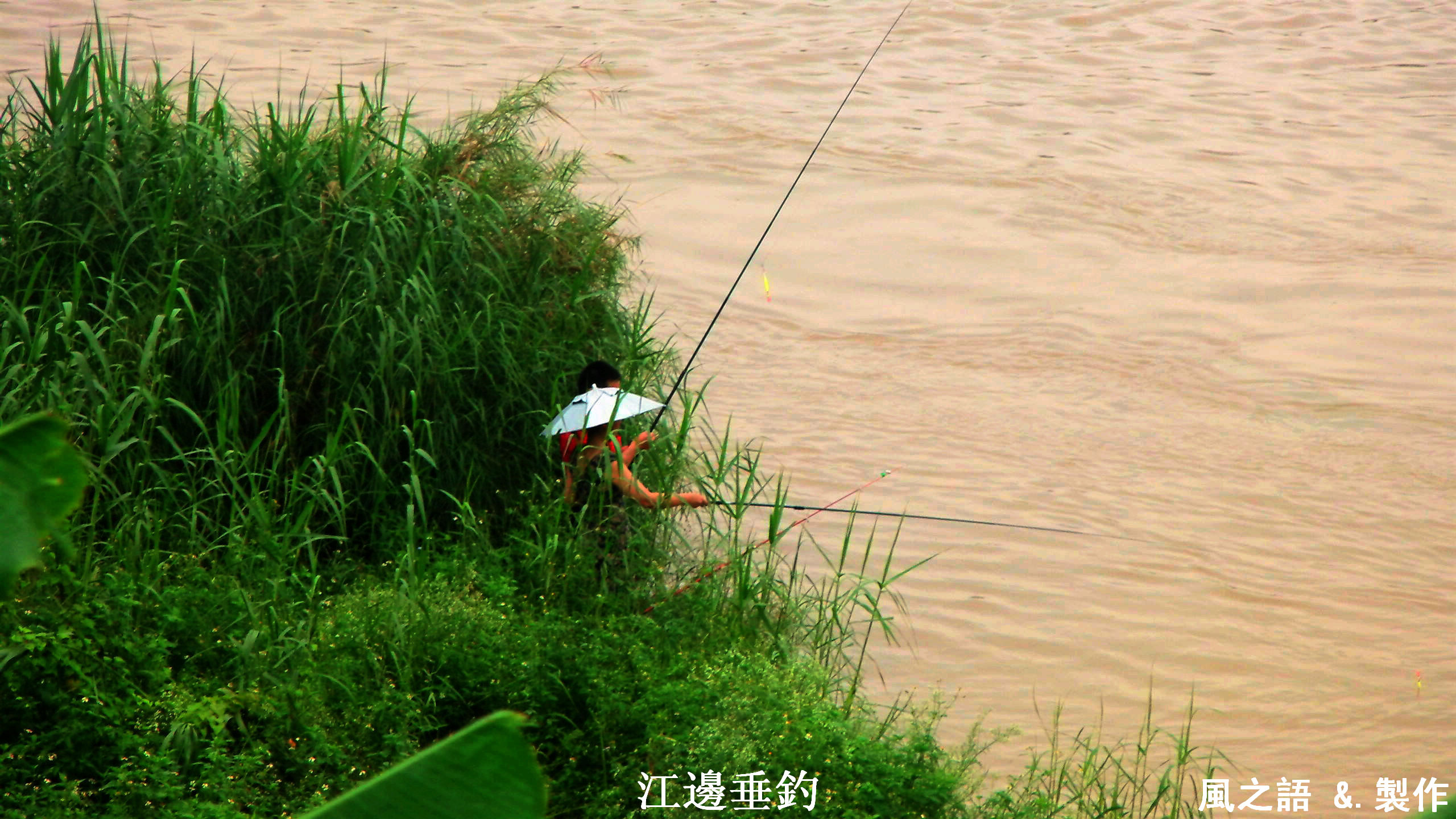 南京长江钓鱼图片