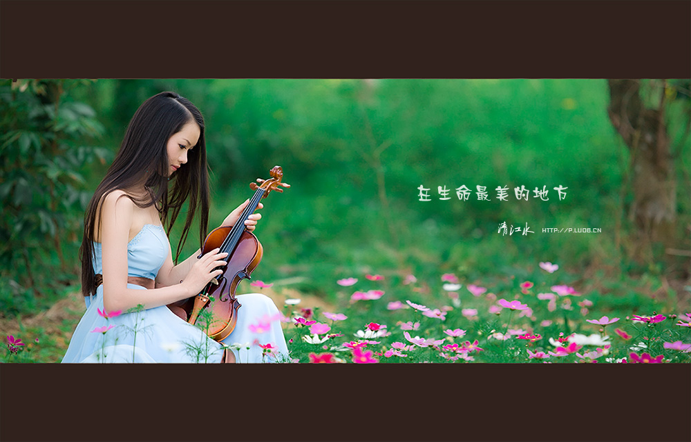 在生命最美的地方