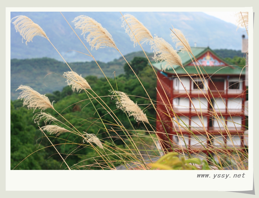 高州林泉寺历史图片