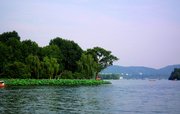 西湖堤景