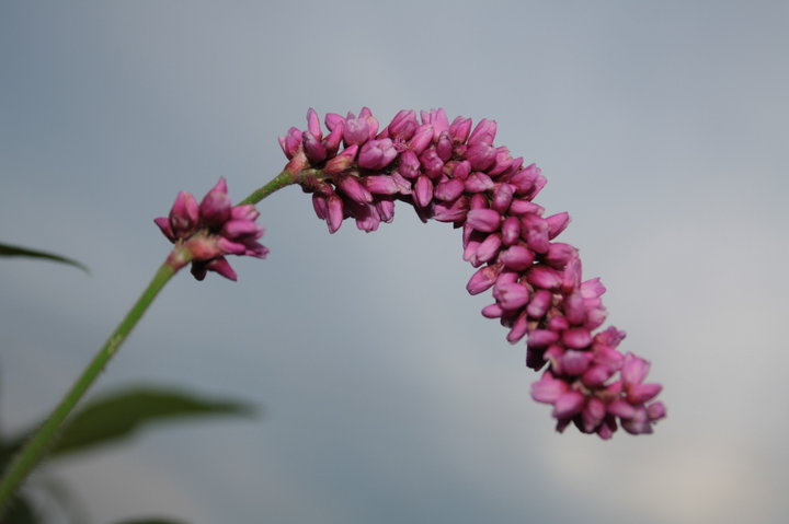 ֮
