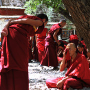 西藏的寺庙与僧侣