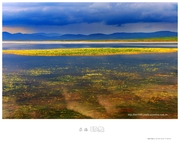 高原圣湖-尕海