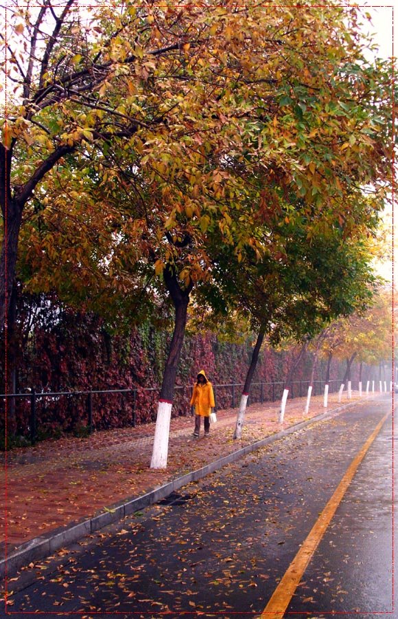 雨后秋景