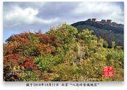 10月11日八达岭地区红叶渐进佳期