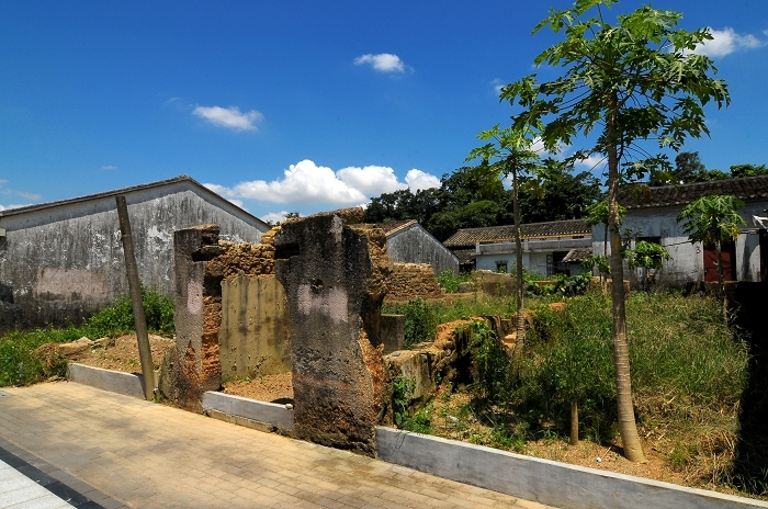 深圳美丽乡村 (共 4 p)