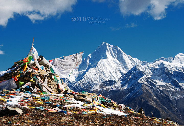 2010 ҵĹ