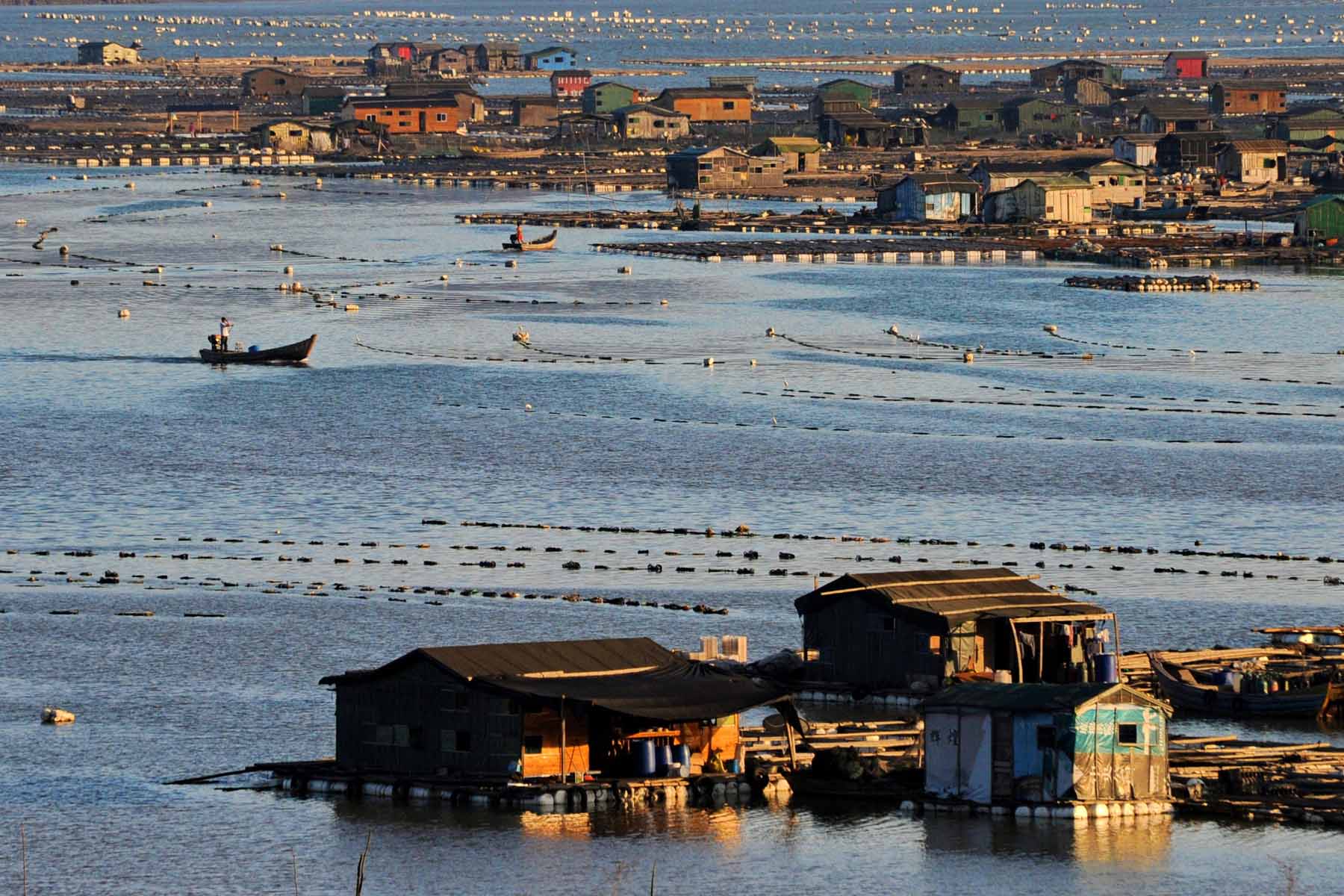 化州南海渔村图片
