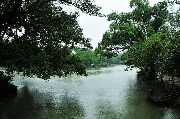 雨中游杭州西溪溼地