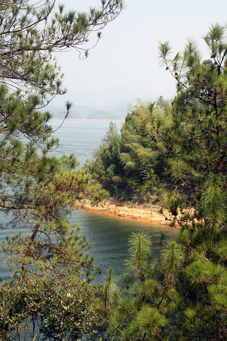 千岛湖蛇岛图片图片
