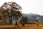 2010金秋岳西行----大山里的希望！