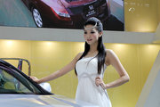 2010年郑州国际车展车模