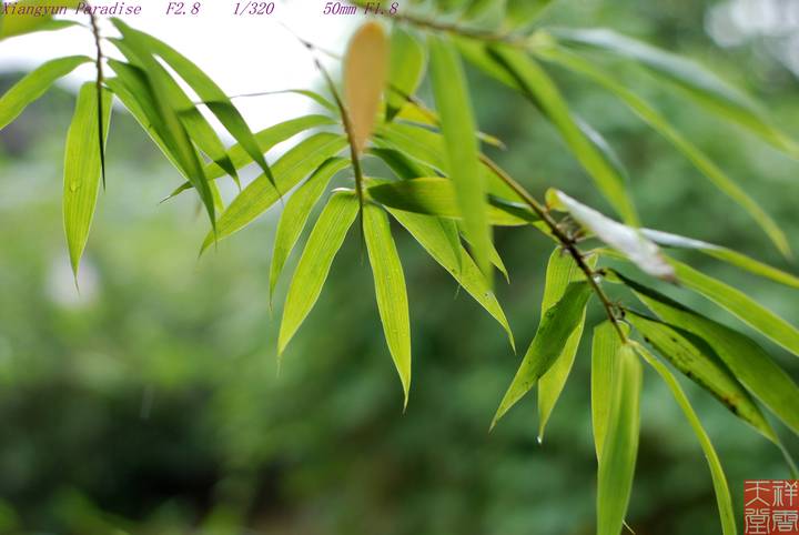 ļ