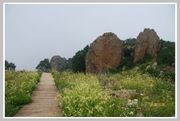 北京：百花山景区“白草畔”