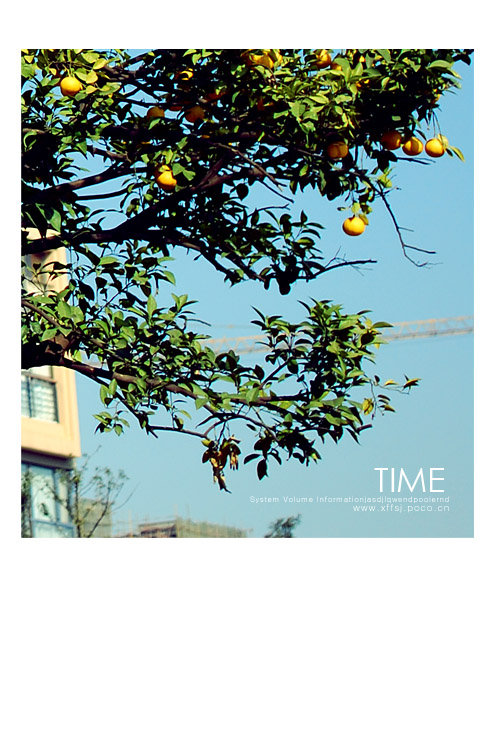 Time(ڸ£