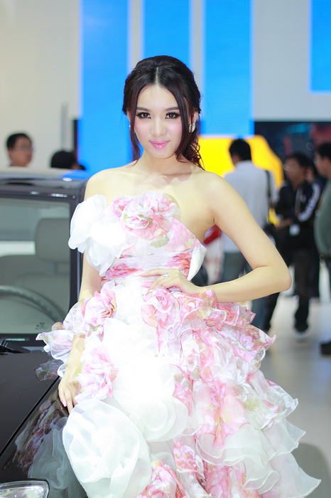 2010 Guangzhou International Automobile Exhibition