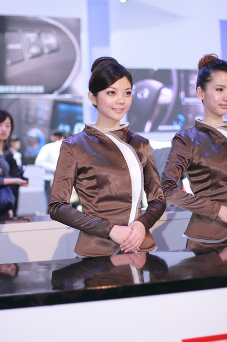 2010 Guangzhou International Automobile Exhibition