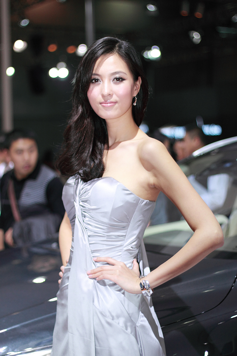 2010 Guangzhou International Automobile Exhibition