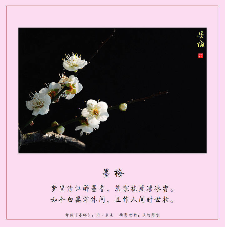 羅崗香雪(梅花詩)