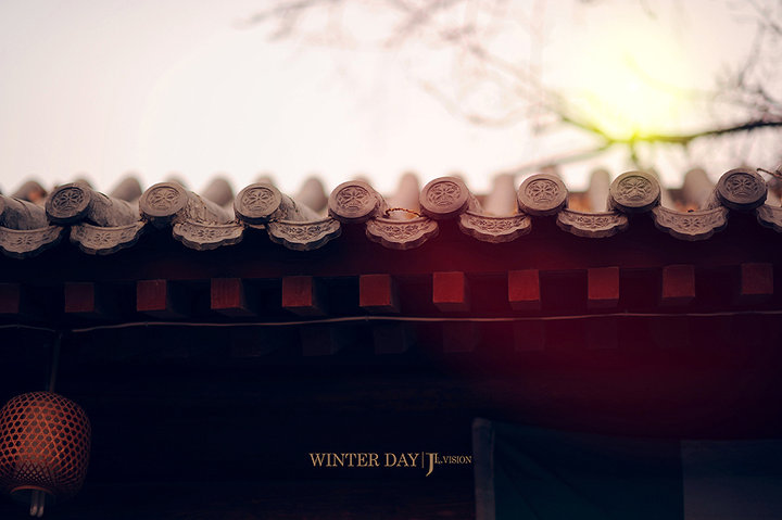 Winter Day