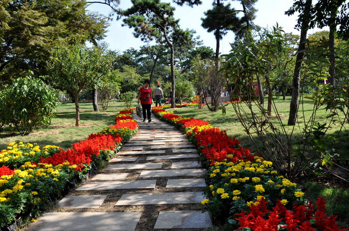 青島中山公園