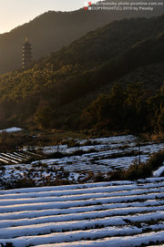 天童——秋去冬来