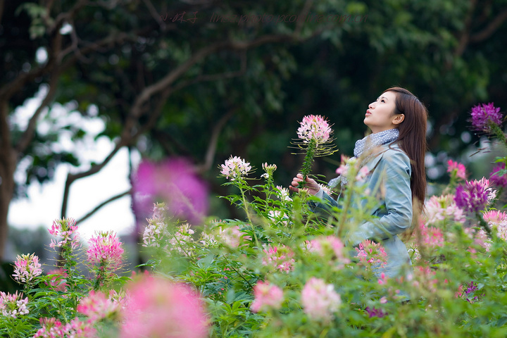 女人花01高清图片