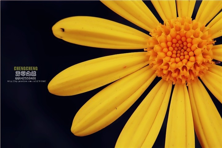 Ұ