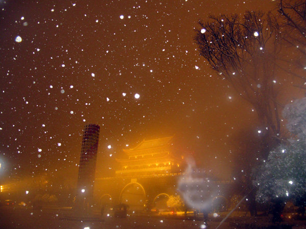 北京雪花飘起来照片图片