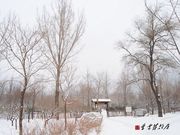 雪染(曹雪芹故居)