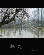 梅花--2011年第三届杭州（超山）梅花节