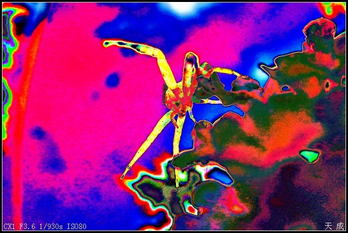 Ѫսʿ--桰ΡЧ