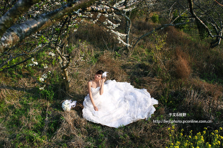 lihua