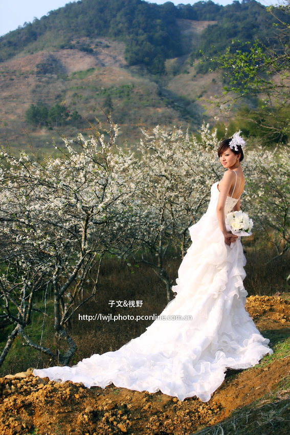 lihua