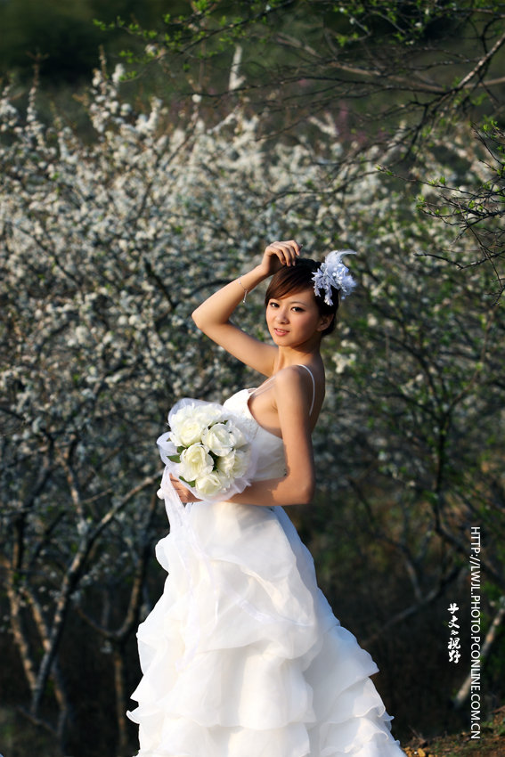 lihua