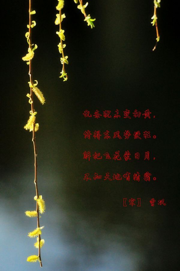 鴺