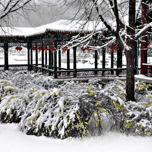 黄秋园雪景图片